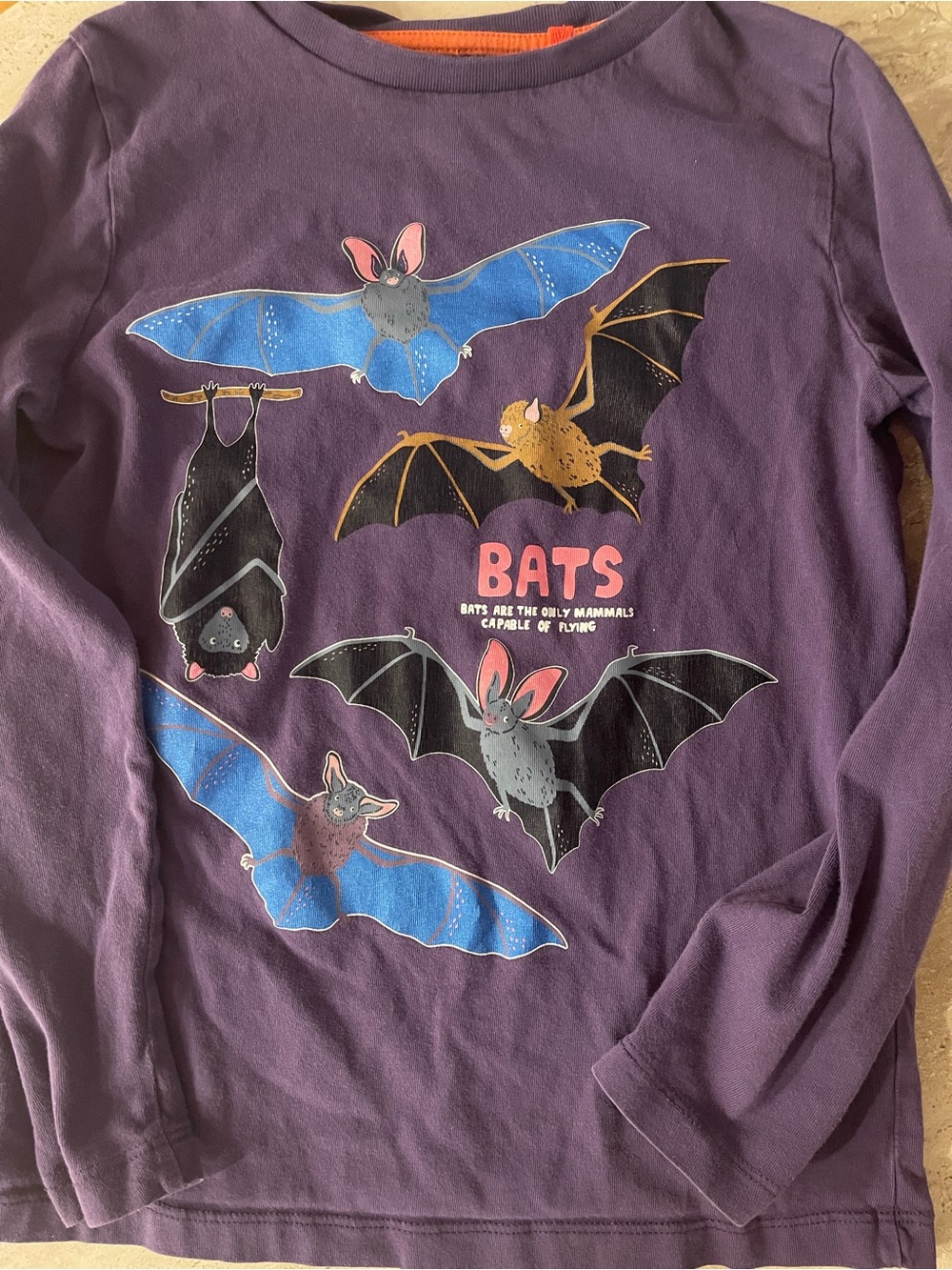 Mini Boden Halloween glow-in-the-dark bat top - size 8/9 (runs 7)